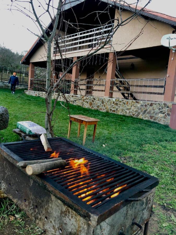 Pensiunea La Buru Caraciu Екстериор снимка