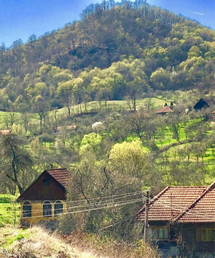 Pensiunea La Buru Caraciu Екстериор снимка