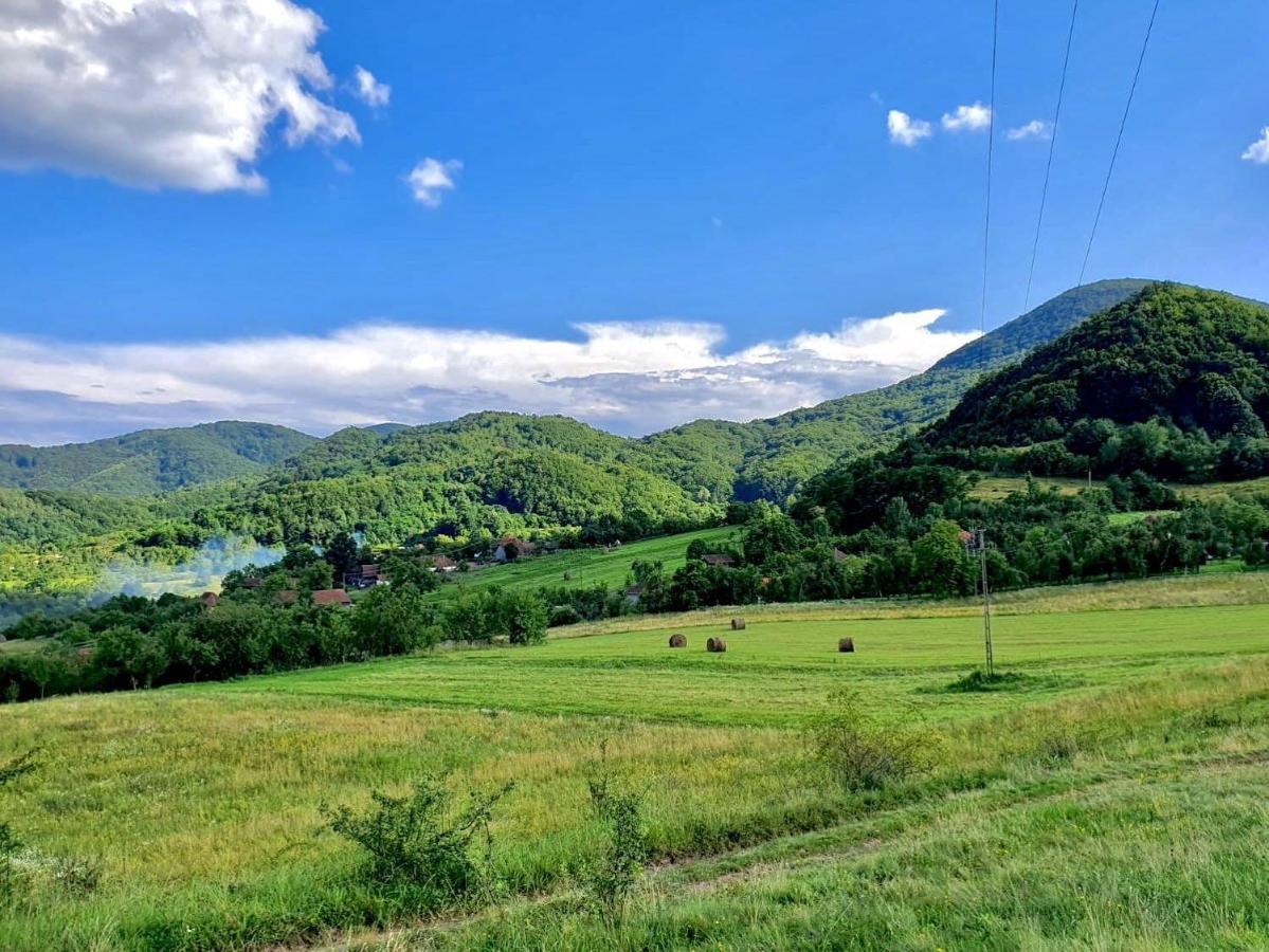 Pensiunea La Buru Caraciu Екстериор снимка