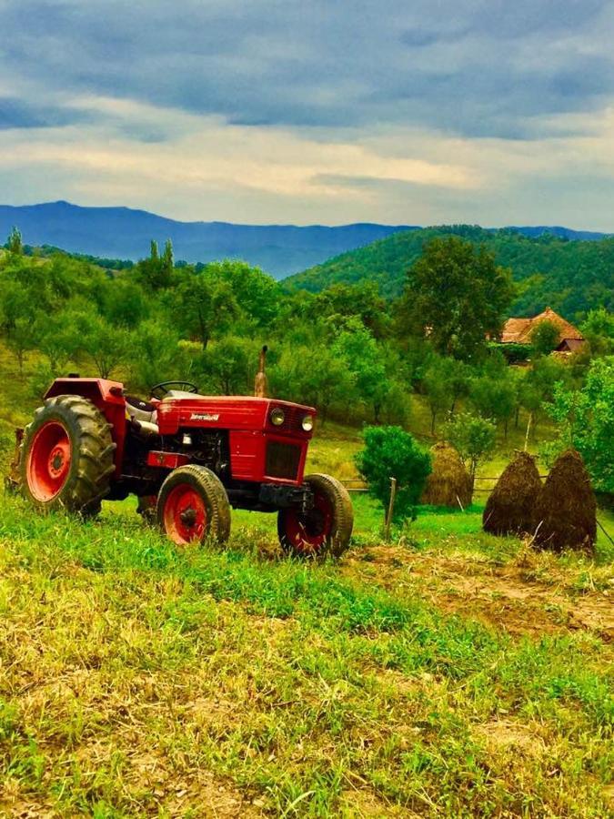 Pensiunea La Buru Caraciu Екстериор снимка