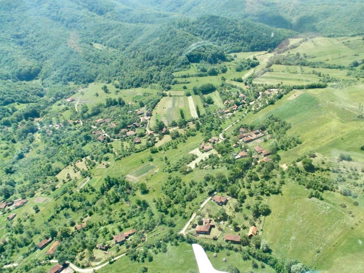 Pensiunea La Buru Caraciu Екстериор снимка