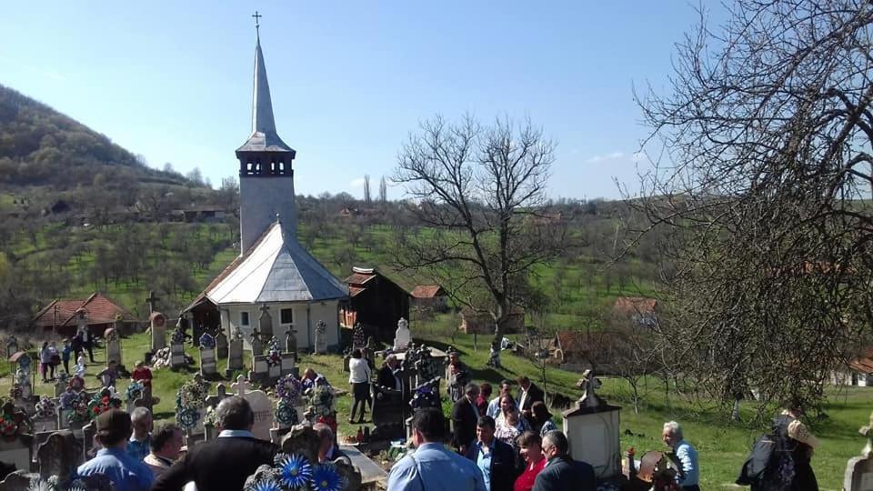 Pensiunea La Buru Caraciu Екстериор снимка