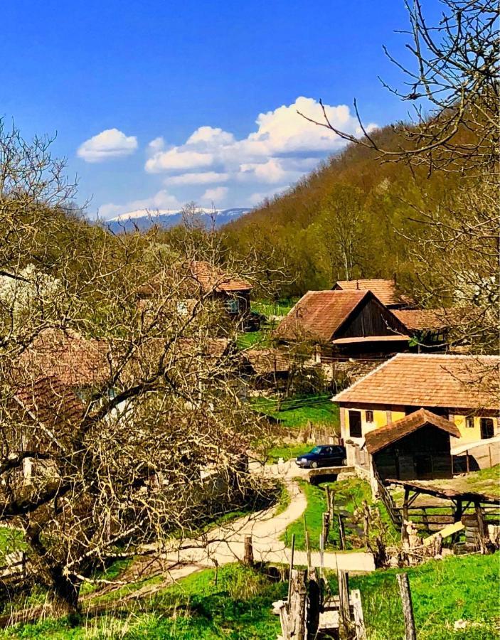 Pensiunea La Buru Caraciu Екстериор снимка